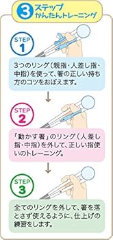 いかのおすし⭐︎LAVA トレーニング 6点セット Amazon.co.jp: SKATER デラックス トレーニング箸 14cm ケース付